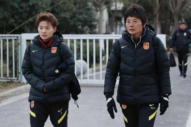 国内精品伊人久久久久妇